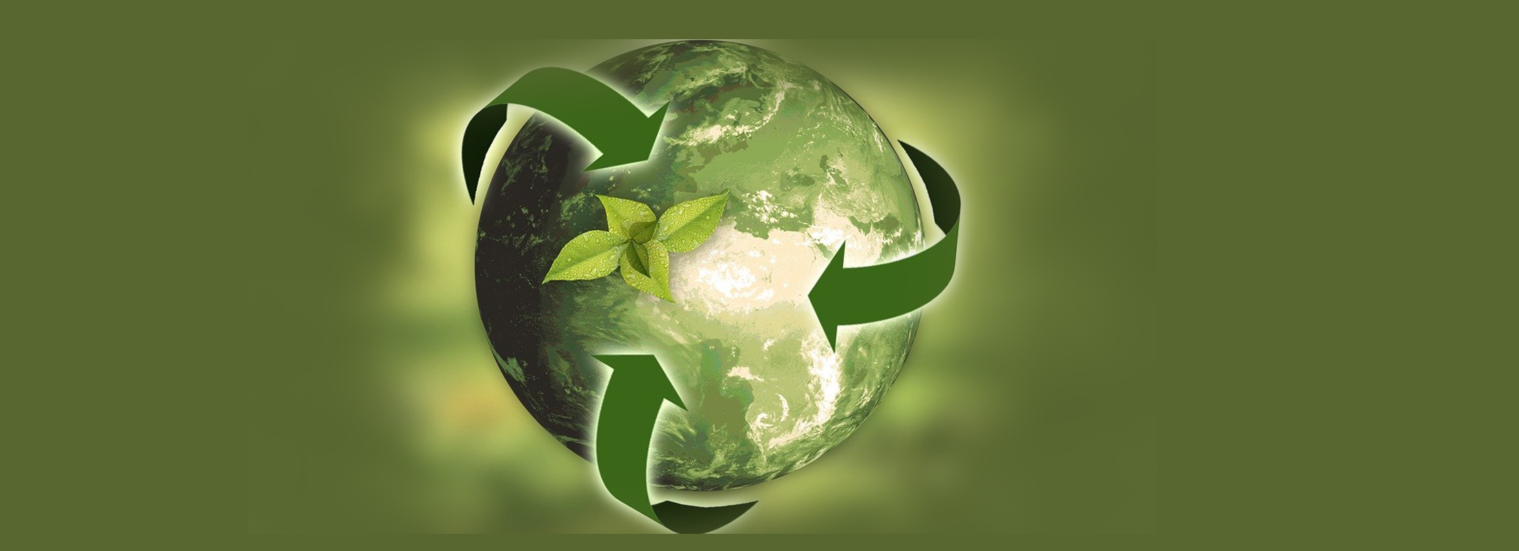 $10,000,000 senior revolving credit facility and real estate term loan for a Florida-based green waste disposal company